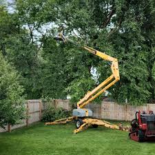 Mulching Services in Marvell, AR